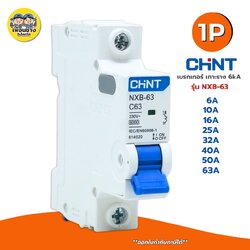 CHINT **รุ่น NXB-63** 1P เบรกเกอร์เมนธรรมดา เกาะราง 6kA เบรกเกอร์ 1P รุ่น NXB-63 แบบเกาะราง เซอร์กิตเบรกเกอร์
