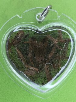 ของเสน่ห์ หัวใจ ดอกเถาหลง ชายใช้ สีม่วง อัดกรอบพลาสติกกันน้ำ หัวใจดอกเถาหลงแท้