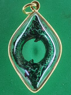 ของป้องกัน บ่วงบาศพญานาค 2เศียร สีเขียวเข้ม กรอบไมคอน จี้พญานาคแท้ จี้พญานาคห้อยคอ จี้พญานาคราช