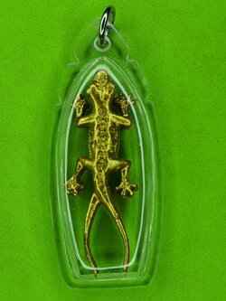 ของนำโชค จิ้งจกสองหาง สีทอง เลี่ยมกรอบ จิ้งจก จิ้งจกสองหาง จิ้งจก2หาง