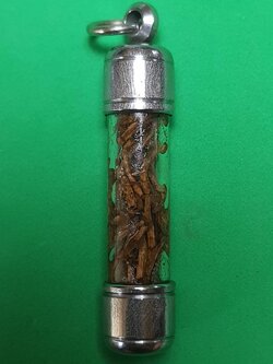 ของป้องกัน ตะกรุดรากราคะ รากราคะ ว่านรากราคะ