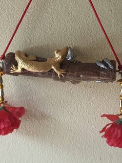 ของนำโชค จิ้งจก 2 หาง ห้อยหน้าร้าน เถาวัลย์หลง จิ้งจก จิ้งจกสองหาง