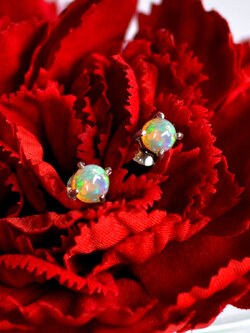 ต่างหูโอปอลแท้ ไฟสวย Opal earrings