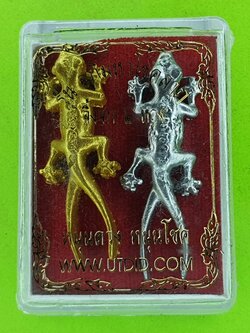 ของนำโชค จิ้งจกสองหางคู่ จิ้งจก จิ้งจกสองหาง จิ้งจก2หาง