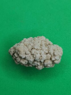 ของนำโชค พระธาตุสีวลี ขนาดเหรียญบาท พระสิวลี ของแท้ พระเครื่องพระสีวลี