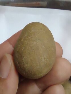 หมากไม้มณีโคตร ขนาด 3-4 ซม.(คละแบบคละขนาด)