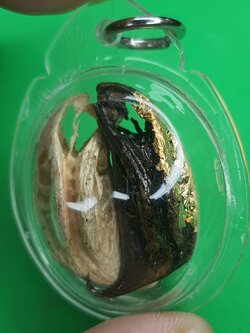 ของป้องกัน เล็บครุฑแบบกรอบคู่ไม่ใส่น้ำมัน สีธรรมชาติ สีดำและสีขาว เล็บครุฑ ของแท้ เล็บพญาครุฑ ผลเล็บครุฑ