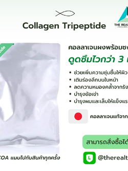 Collagen Tripeptide (คอลลาเจนไตรเปปไทด์)