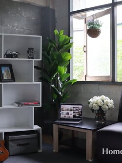 ชั้นวางของดีไซน์ซิกแซก 5 ชั้น