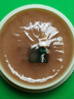 ของเสน่ห์ สีผึ้ง พญาการเวก ลิ้นทอง สีผึ้งมหาเสน่ห์แรงๆ สีผึ้งของแท้ สีผึ้งแท้ สีผึ้งมหาเสน่ห์ สีผึ้งทาปาก สีผึ้งมหาเสน่ห์แรงๆ สีผึ้งเสน่ห์ เมตตา เจรจา