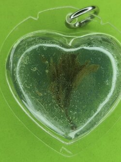 ของเสน่ห์ หัวใจ ดอกเถาหลง หญิงใช้ สีฟ้า อัดกรอบพลาสติกกันน้ำ หัวใจดอกเถาหลงแท้