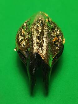 ของป้องกัน พญาเล็บครุฑ สีดำ ป้องกันภัย เพิ่มอำนาจ เกี่ยวเงินทอง เล็บครุฑ เล็บพญาครุฑ ผลเล็บครุฑ