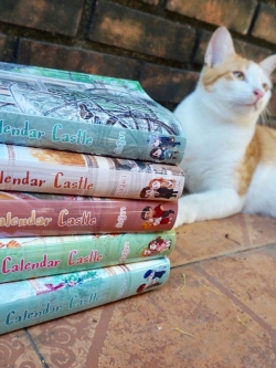 Calendar Castle Jacket Cover