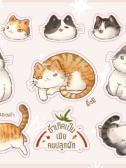 Sticker แมวเทพ (ข้าเกิดเป็นมียคนปลูกผัก)