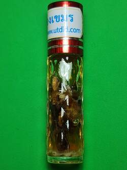 ของเสน่ห์ น้ำมันเสน่ห์ดอกทองเขมร วานดอกทอง น้ำมันดอกทอง ดอกทอง ว่านดอกทอง