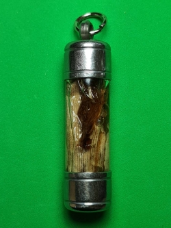 ของเสน่ห์ ว่านดอกทอง ตะกรุดดอกทองแห้งแช่น้ำมัน ดอกว่านดอกทอง ว่านดอกทองแท้ ว่านดอกทองเขมร ว่านดอกทอง