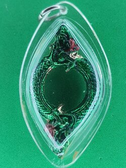 ของป้องกัน บ่วงบาศพญานาค 2เศียร สีเขียว เลี่ยมกรอบ จี้พญานาคแท้ จี้พญานาคห้อยคอ จี้พญานาคราช