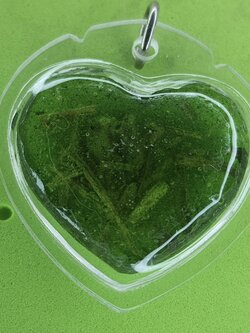 ของเสน่ห์ หัวใจ ดอกเถาหลง ชายใช้ สีเขียว อัดกรอบพลาสติกกันน้ำ หัวใจดอกเถาหลงแท้