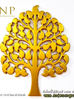 ต้นโพธิ์ ติดผนัง ขนาดใหญ่ A2