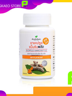 ขมิ้นชันพลัส 60 แคปซูล ( อ้วยอัน )