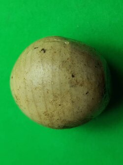 ของเสน่ห์ ลูกสวาทมหาเสน่ห์รุนแรง อุดด้วยว่านเสน่ห์รุนแรงมากถึง 54 ชนิด ลูกสวาส ลูกสวาด ลูกสวาทแท้