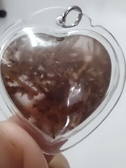 ของเสน่ห์ หัวใจเถาหลง อัดกรอบพลาสติกกันน้ำ