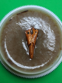 ของนำโชค สีผึ้งค้าขายดี เสน่ห์สาริกาไม้ขนุน สีผึ้งแท้ สีผึ้งของแท้ สีผึ้งเรียกทรัพย์ สีผึ้งนำโชค สาริกาลิ้นทอง สาริกามหาเสน่ห์ สาริกามหาลาภ สาริกาให้โชค สาริกาค้าขาย