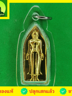 พระเครื่อง พระปางเปิดโลก จิ๋ว ชุบทอง เลี่ยมกรอบ
