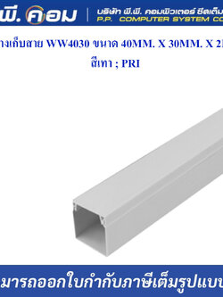 รางเก็บสาย WW4030 ขนาด 40MM. X 30MM. X 2M. สีเทา ; PRI