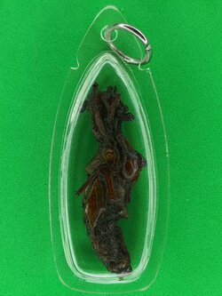 ของนำโชค ว่านจั๊กจั่น เลี่ยมกรอบ ขนาด 3-3.5ซ.ม. ของแท้ ปลุกเสกแล้ว ว่านจั๊กจั่น เรไร พญาว่านจั๊กจั่น