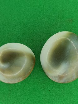 อิ่นอ้อยออยเงิน ให้โชคลาภ ค้าขายดี (ตัวเล็ก ขนาด 1.5-2 ซม. 1 คู่ แถม 1 คู่)