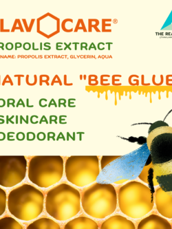 Flavocare® สกัด Flavonoids จากพรอพโพลิส (Propolis)