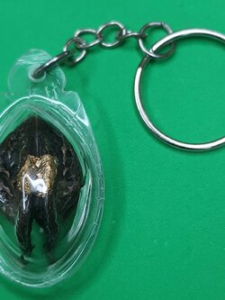 ของป้องกัน เล็บครุฑแบบพวงกุญแจ สีดำ เล็บครุฑ พญาเล็บครุฑ์ ของแท้ พญาเล็บครุฑ