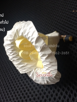 ดอกไม้จันทน์ดั้งเดิม ดอกเดี่ยว (1 ถุงมี 100 ดอก)