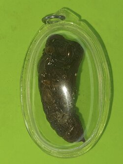 ของนำโชค พญาจั๊กจั่น ว่านจั๊กจั่น เลี่ยมกรอบ ขนาด 4-4.5ซม ของแท้ ปลุกเสกแล้วว่านจั๊กจั่น เรไร พญาว่านจั๊กจั่น