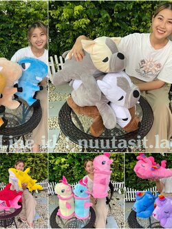 ตุ๊กตา Set3ชิ้น