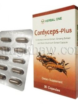 ตังถั่งเช่า-พลัส 30 แคปซูล ( อ้วยอัน )