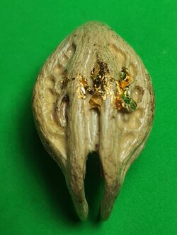 ของป้องกัน พญาเล็บครุฑ สีขาว ป้องกันภัย เพิ่มอำนาจ เกี่ยวเงินทอง เล็บครุฑ เล็บพญาครุฑ ผลเล็บครุฑ