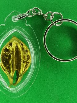 ของป้องกัน เล็บครุฑแบบพวงกุญแจ สีทอง เล็บครุฑ พญาเล็บครุฑ์ ของแท้ พญาเล็บครุฑ