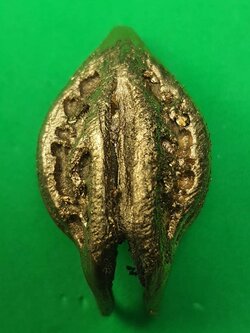 ของป้องกัน พญาเล็บครุฑ สีนาค ป้องกันภัย เพิ่มอำนาจ เกี่ยวเงินทอง เล็บครุฑ เล็บพญาครุฑ ผลเล็บครุฑ