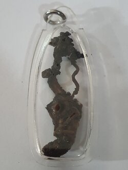 ของนำโชค ว่านจั๊กจั่นของแท้ เลี่ยมกรอบ ขนาด 3-4ซ.ม. ปลุกเสกแล้ว ว่านจั๊กจั่น เรไร พญาว่านจั๊กจั่น ว่านจั๊กจั่นของแท้