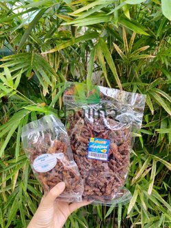 เนื้อสวรรค์ ( ผู้ใหญ่ลี ) อาหารเจ