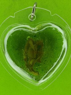 ของเสน่ห์ หัวใจ ดอกเถาหลง หญิงใช้ สีเขียว อัดกรอบพลาสติกกันน้ำ หัวใจดอกเถาหลงแท้