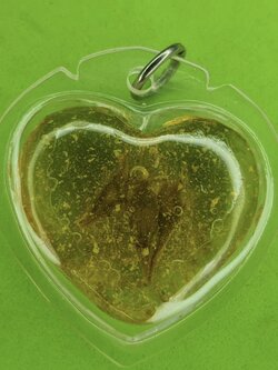 ของเสน่ห์ หัวใจ ดอกเถาหลง หญิงใช้ สีเหลือง อัดกรอบพลาสติกกันน้ำ หัวใจดอกเถาหลงแท้