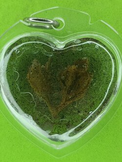 ของเสน่ห์ หัวใจ ดอกเถาหลง หญิงใช้ สีม่วง อัดกรอบพลาสติกกันน้ำ หัวใจดอกเถาหลงแท้