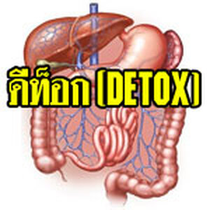 D-Tox ดีทอกซ์ จำเป็นกับชีวิตเราขนาดไหน?