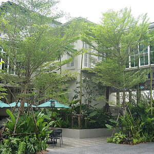 จัดสวนร้านอาหารบ้านดาหลา ซอยพญาไทย 3 นักลงทุนจากสิงคโปร์