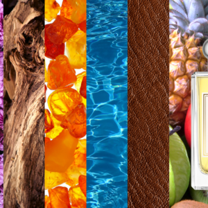 รายการสินค้ากลุ่มน้ำหอม (Fragrance)