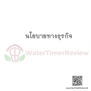 นโยบายทางธุรกิจ