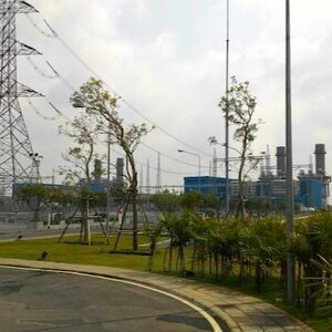 ล้อมย้ายต้นไม้ภายในโรงไฟฟ้า Gulf อ.หนองแซง จ.พระนครศรีอยุทธยา
